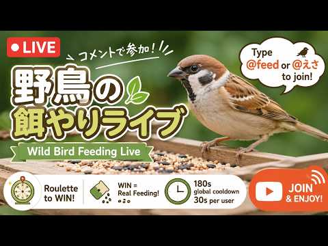 簡単DIY！鳥の餌の花輪の作り方と安全な食材の選び方