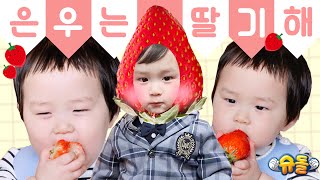 🍓 딸기의, 딸기에 의한, 딸기를 위해 살아온 빵벅지 김은우의 딸기 먹방 모음집 🍓 [슈돌 유튜브] KBS 방송