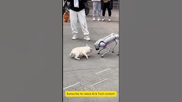 ai robot dog. who you think would win?#ai