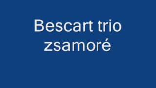 Video thumbnail of "Bescar trio.zsamoré.wmv"