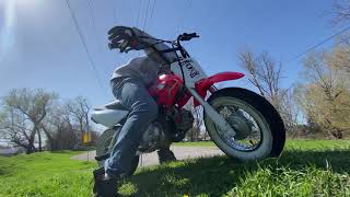 Pitbike Shenanigans