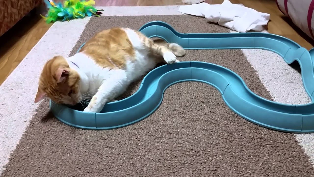 Mugsy Barber 2 YouTube