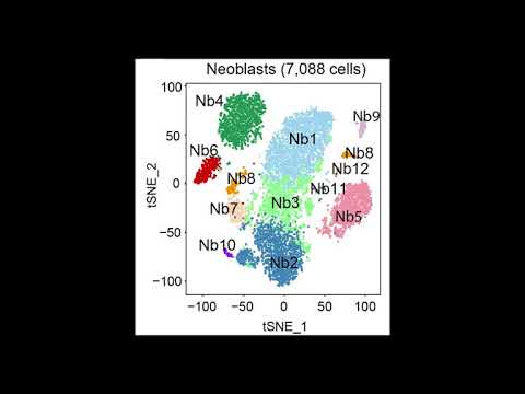 Cell Press