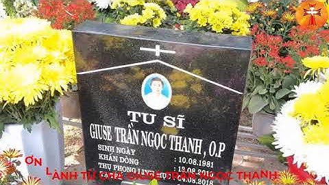 ƠN LÀNH TỪ CHA GIUSE TRẦN NGỌC THANH- Chia Sẻ Lời Chúa