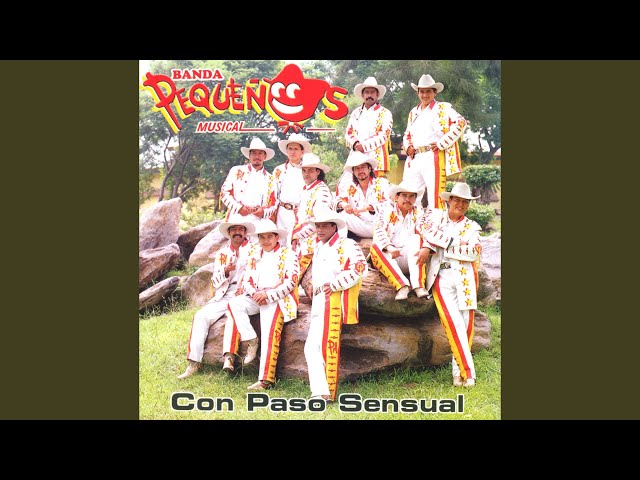 Banda Pequeños Musical - Ninguna de las dos