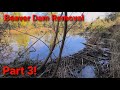 Beaver Dam Removal. Part 3