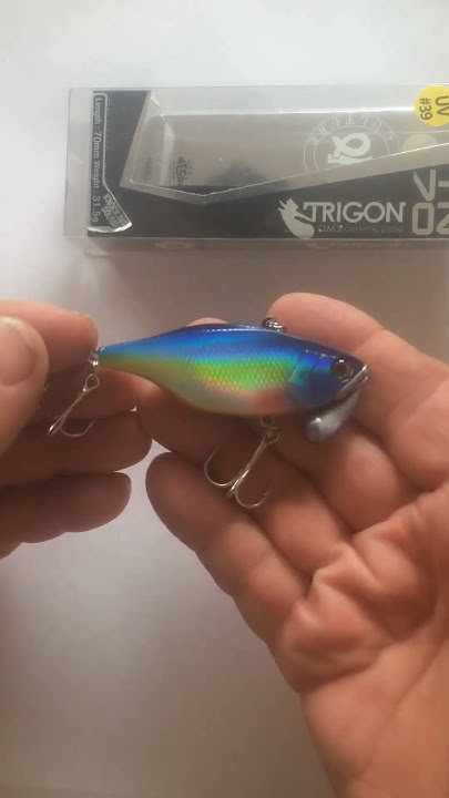 Раттлин яйцебород Trigon 70 UV - YouTube