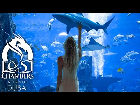 DUBAI ATLANTIS THE LOST CHAMBERS AQUARIUM | Conheça esse aquário fascinante  no Hotel Atlantis Dubai