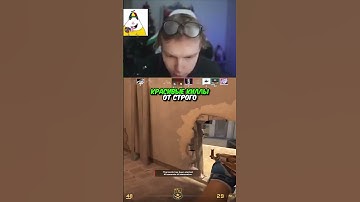 twitch.tv/strogo | КРАСИВЫЕ КИЛЛЫ ОТ СТРОГО #strogo #cs2 #строго #флешка