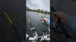 Spider Rigging Crappie