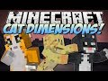 Minecraft | CAT DIMENSIONS! (Bad Cats, Evil Cats, Epic Cat Weapons & More!) | Mod Showcase