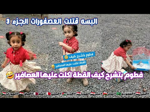 فطوم بتشرح كيف القطة اكلت عليها العصافير