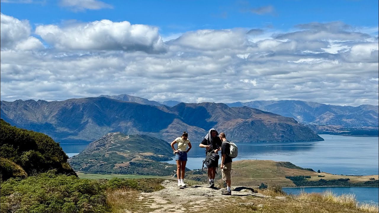 we moved to new zealand