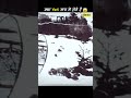 🤯 क्या Yeti सच में होते हैं | Mystery of the Himalayan Yeti 😱🤯 #shorts