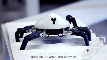 HEXA -six-legged, agile, highly adaptable robot that´s get more that you can imagine / Vincross