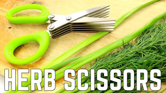Starfrit Stainless Steel Multi Blade Herb Scissor; Green