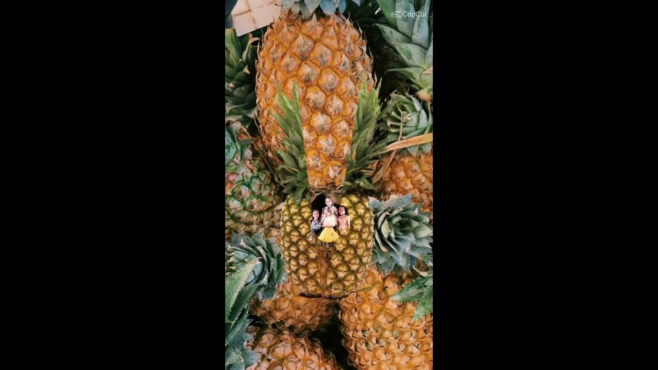 Trending Wow Amazingfruits Fyp Shortsfeed Amazing