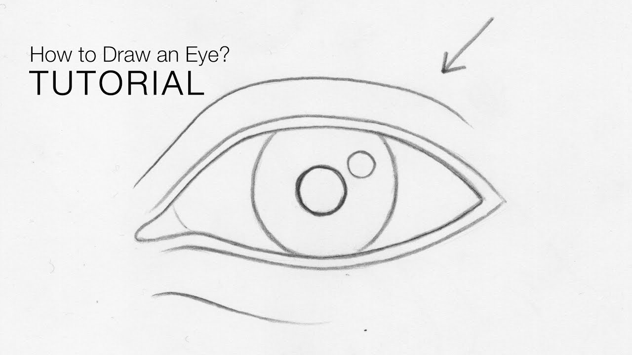 How To Draw An Eye From Any Angle For Beginners (Basic Proportions) - Easy  - Youtube