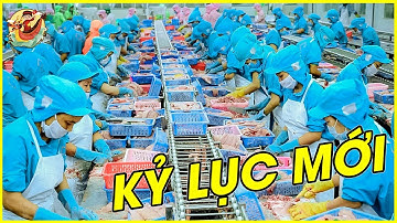 Tiêu Điểm 🔥 Xuất Khẩu Thủy Sản Việt Nam Lập Kỷ Lục Mới Đạt 10 Tỷ USD