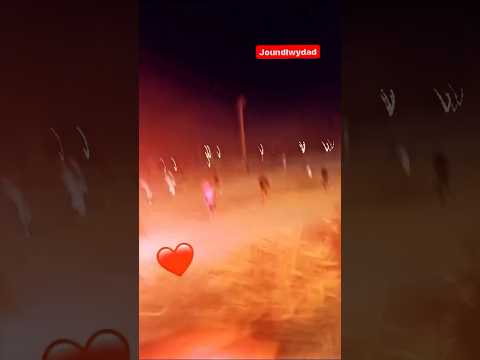 جمهور الوداد يطارد جماهير الترجي التونسي في محيط ملعب رادس