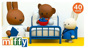 Boris Is Broken | Miffy | Cartoons for kids