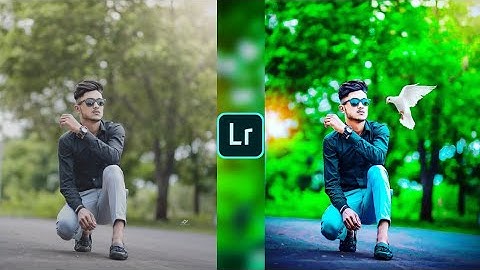 Lightroom green tone bird effect photo editing tutorial | lightroom background colour change preset
