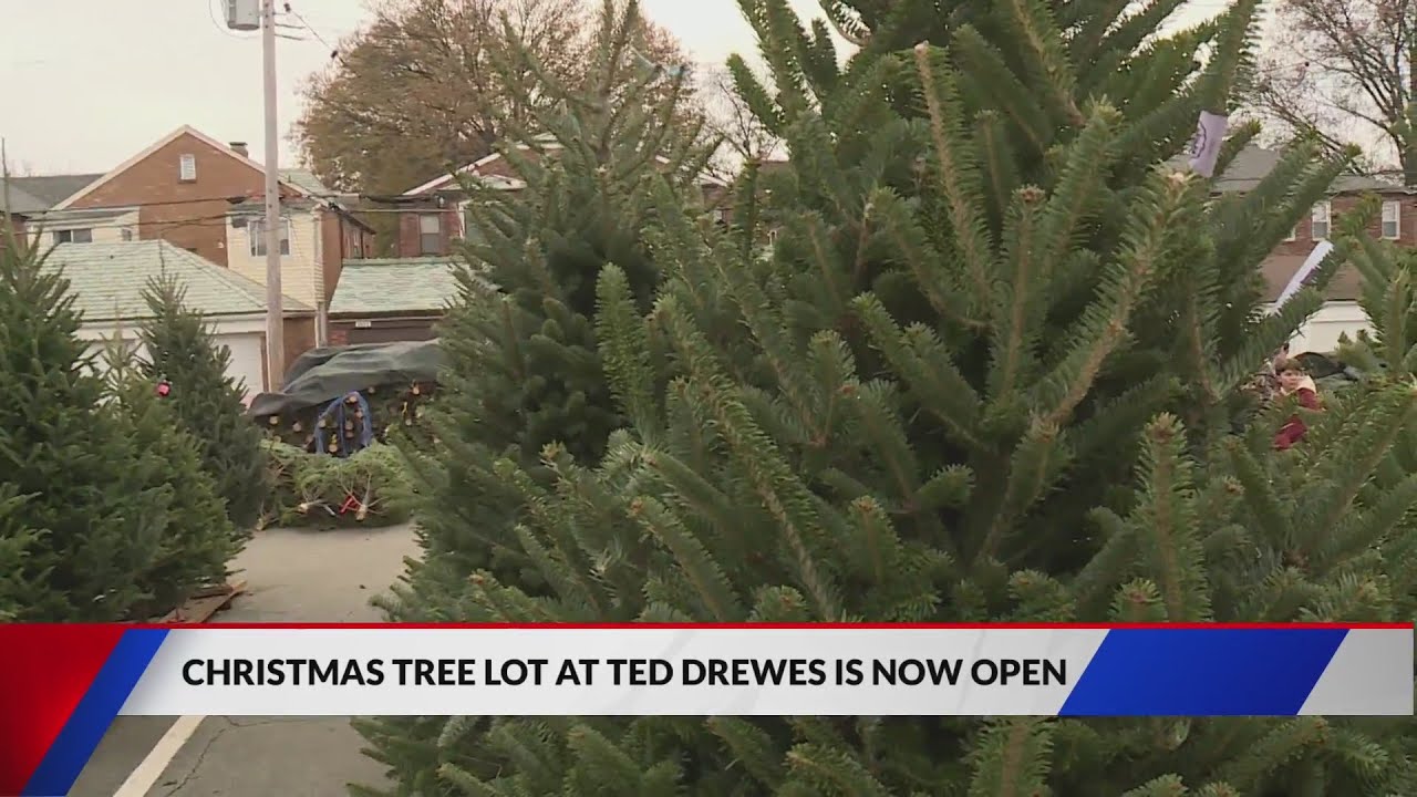 Ted Drewes holiday Christmas Trees are back YouTube