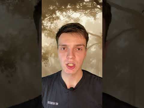 Вот как узнать, что говорит ваша кошка..