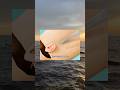 いやそうはならないだろw #twitter #tiktok #おもしろ #shorts