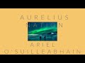 Aurelius by ariel osuilleabhain young adult fiction book