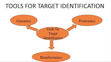 TARGET IDENTIFICATION AND TARGET VALIDATION