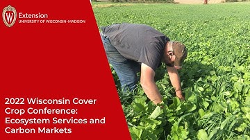 Ecosystem Services and Carbon Markets