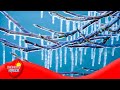 Understanding Freezing and Phase Changes