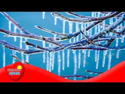 Freezing - More Grades 3-5 Science on the Learning Videos Channel