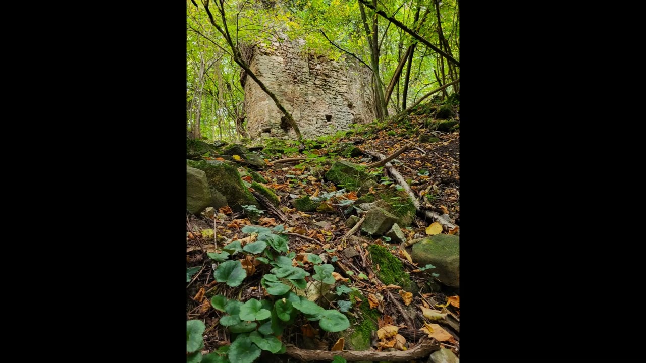 Burgruine Perwarth (Hochperwarth, Oberperwarth)    A-3263 Randegg