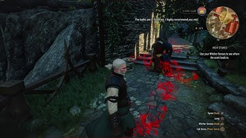 Witcher 3 Circle Pit of NPCs