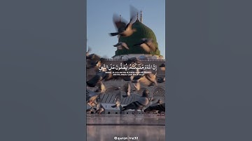 سورة الأحزاب - الآية 56