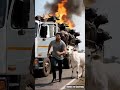 cow ne sab ko bachaya #ai #shorts