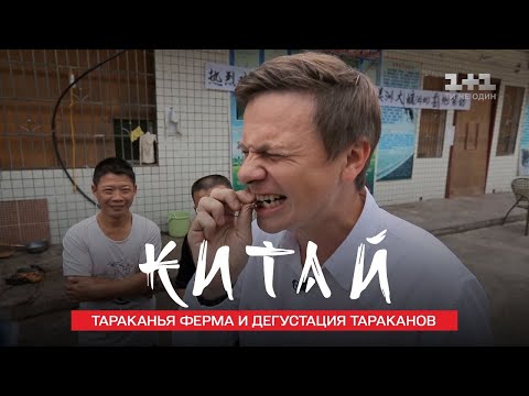 Video: Kako Prebaciti Novac Na Tajland