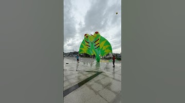 Thả diều nghệ nhân ra dây lên diều cá đuối khổng lồ #kite #patang #layangan #kiteflying #short