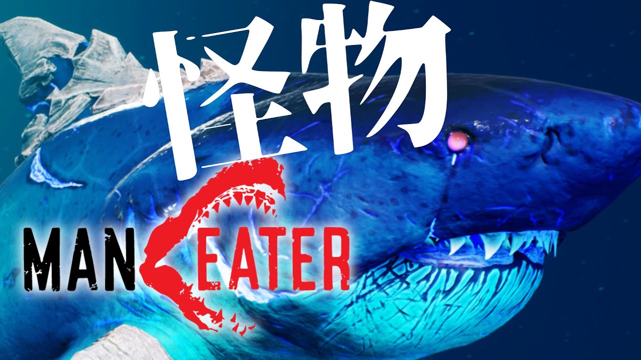 Maneater】伝説の怪物となったサメちゃん！！もう戻れないこの復讐を