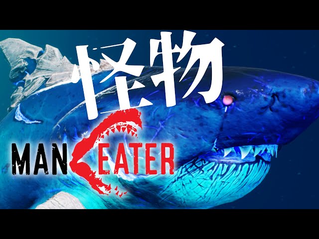 Maneater】伝説の怪物となったサメちゃん！！もう戻れないこの復讐を