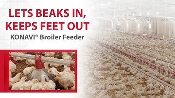 Chore-Time® Broiler House with KONAVI® Broiler Feeders