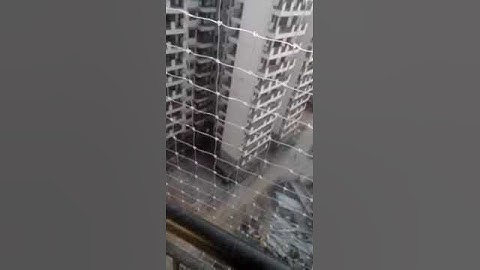 Manzil pest control pvt ltd | bird netting services , balcony net , pigeon net | call : 18001024540