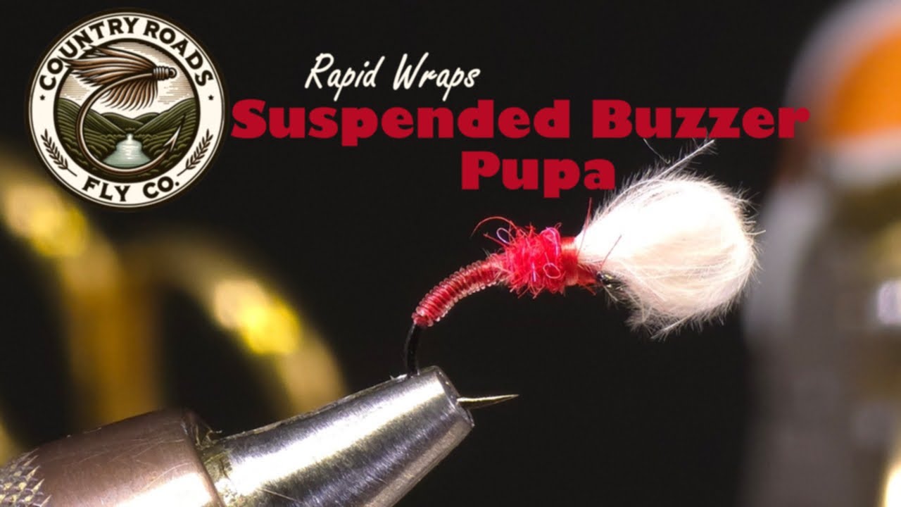 Suspended Buzzer Pupa In Minutes Rapid Wraps Series Country Roads suspended-buzzer-pupa-in-minutes-rapid-wraps-series-country-roads