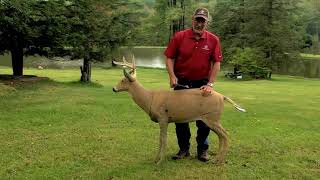BFHA | Archery Tips | Arrow Placement