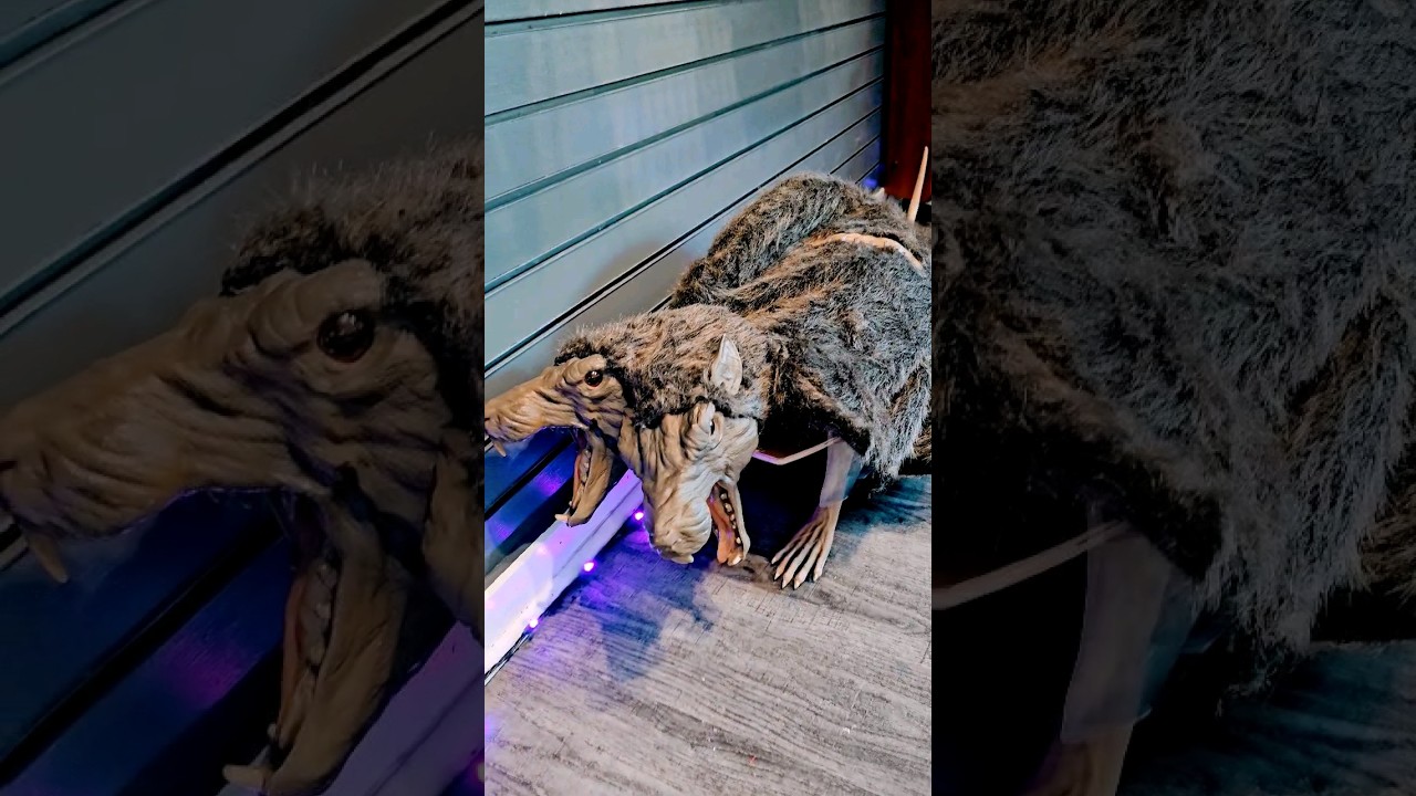 Sewer Varmint Rat #sewer #varmint #spirithalloween