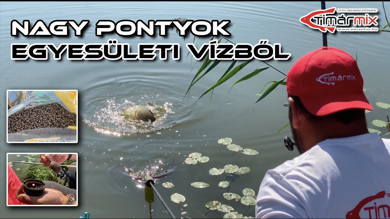Timár Mix - Nagy pontyok egyesületi vízből