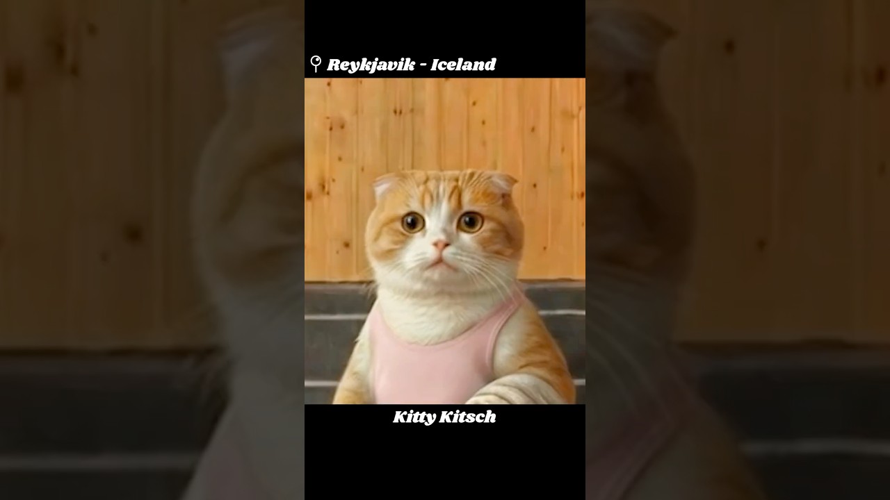 I quit space travel for this #aianimation