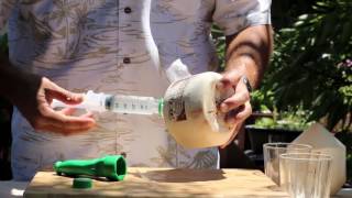 Celebrity How To Make A Rum And CoCo Profile